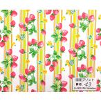 【申込期間は9月21日まで】超特価生地★★国産プリント・43★55cmｘ45cm★YUWA　小関鈴子　Dots&girls  有輪