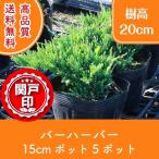  высокое качество балка Haba pot модель 15cm pot 5 pot комплект Revue . написать привилегия есть бесплатная доставка!( Kanto * Tokai * Kansai * Hokuriku * Shinetsu . ограничение )