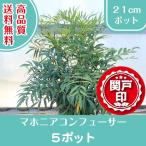  высокое качество ma ho nia темно синий f.-sa- pot модель 21cm pot 5 pot комплект бесплатная доставка ( Kanto * Tokai * Kansai * Hokuriku * Shinetsu . ограничение ) Revue . написать привилегия есть 