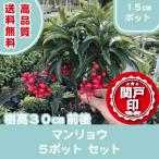  высокое качество man ryou pot модель 15cm pot 5 pot комплект бесплатная доставка ( Kanto * Tokai * Kansai * Hokuriku * Shinetsu . ограничение ) Revue . написать привилегия есть!!.. предмет садовое дерево горшок . десять тысяч обе 