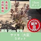  высокое качество Satsuki большой чашечка для сакэ pot модель 15cm pot 5 pot комплект высота дерева 25cm передний и задний (до и после) бесплатная доставка ( Kanto * Tokai * Kansai * Hokuriku * Shinetsu . ограничение ) Revue . написать привилегия есть!