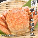  Hokkaido четырёхугольный волосатый краб примерно 400g×1 хвост ... рефрижератор шерсть .. Boyle шерсть ..kegani местного производства .. краб краб . тест . морепродукты высококлассный .. подарок ваш заказ лето подарок День почитания пожилых людей 