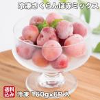 ショッピング初売り 初売り 冷凍 さくらんぼ 赤ミックス 160g×6 冷凍果実 ギフト 北海道 芦別市 大橋さくらんぼ園 産地直送 送料無料