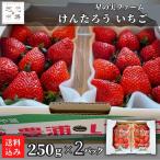5 месяц ограничение ..... клубника 250g×2 фрукты фрукты Hokkaido .. блок звезда. реальный ферма подарок на Bon Festival сельское хозяйство . прямая поставка 