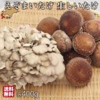 朝採り まいたけ しいたけ 北海道 各400g 大株 蝦夷 舞茸 えぞまいたけ 椎茸 国産 生 厚沢部町 渋田産業 送料無料