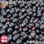 8 месяц последняя декада отправка Hokkaido нет пестициды черный black currant 1kg рефрижератор . мир 8 год производство предварительный заказ природа культивирование местного производства - u let сельское хозяйство . прямая поставка от производителя фрукты фрукты ваш заказ лето подарок День почитания пожилых людей 