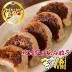 肉汁駆け込み餃子(100ケ入り) 餃子 焼き餃子 小籠包 ニンニク不使用 ニラ不使用 人気 お取り寄せ グルメ
