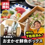 【魚屋の森さん】★送料無料 国産商品 おまかせ鮮魚BOX 5400円コース 最短着希望は配送指定日なしでご注文ください