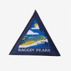 ザ・ノース・フェイス ワッペン NN32334 BP アイロン接着