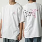 ARCTERYX アークテリクス Tシャツ Kragg Cotton Logo SS クラッグ コットン ロゴ ショートスリーブ X000008464 メンズ 半袖 カットソー WHITE-LIGHT/SOUL
