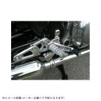 AGRAS アグラス 312-489-000 バックステップ W800