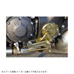 312-272-000 AGRAS アグラス バックステップ 4ポジション V-MAX1700