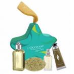  LOCCITANE ٥ åȡʥ롦ϥɥ꡼ࡦ塦ǷФ ʹ/