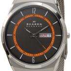 Yahoo! Yahoo!ショッピング(ヤフー ショッピング)スカーゲン SKAGEN メンズ 腕時計 SKW6007 Aktiv Mesh Titanium アクティブ メッシュ チタニウム グレー 新品 送料無料