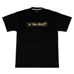 < кошка pohs отправка бесплатная доставка > in The краска (IN THE PAINT) ITP26018 BLKOLV баскетбол свободный рука S/S футболка 26SS