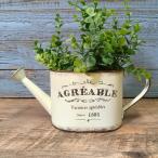  садоводство смешанные товары жестяная пластина pot цветочный горшок горшок горшок покрытие посадочная машина жестяная пластина ведро античный модный UGG редкость -bru Joe roCN-HSAG12-60