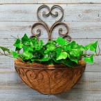  садоводство смешанные товары висячий корзина железный подвешивание ниже орнамент железный античный wall здесь посадочная машина MT-7239-120