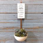  садоводство смешанные товары жестяная пластина pot цветочный горшок горшок горшок покрытие посадочная машина жестяная пластина ведро античный модный жестяная пластина черпак WH SG-548001W-80