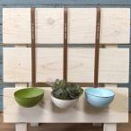  садоводство смешанные товары жестяная пластина pot цветочный горшок горшок горшок покрытие посадочная машина жестяная пластина ведро античный модный жестяная пластина черпак SET3 SG-548002WBG-60