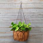  садоводство смешанные товары корзина корзина животное тросик железный античный античный модный симпатичный тросик висячий корзина 25 SG-590005-80