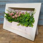 �K�[�f�j���O �G�� �E�b�h�v�����^�[ �A�ؔ� �� ���J�o�[ �v�����^�[ �E�b�h �ؐ� �A���e�B�[�N ������� ���킢�� �f�B�X�v���C�t���[�� TB-09-100
