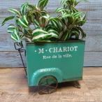  садоводство смешанные товары жестяная пластина pot цветочный горшок горшок горшок покрытие посадочная машина жестяная пластина ведро античный модный Chariot Cart YZ-MH1509-80