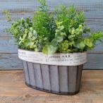  садоводство смешанные товары жестяная пластина pot цветочный горшок горшок горшок покрытие посадочная машина жестяная пластина ведро античный модный off катушка овальный YZ-UA246-80