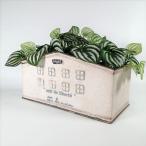  садоводство смешанные товары жестяная пластина pot цветочный горшок горшок горшок покрытие посадочная машина жестяная пластина ведро античный модный Anne ju широкий YZ-UN1773-80