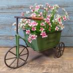 ショッピング三輪車 ガーデニング 雑貨 ブリキポット 植木鉢 鉢 鉢カバー プランター ブリキ バケツ アンティーク おしゃれ ボヘムカート YZ-UN2209-80