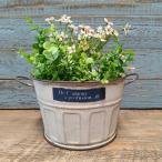 ガーデニング 雑貨 ブリキポット 植木鉢 鉢 鉢カバー プランター ブリキ バケツ アンティーク おしゃれ セティアンラウンド YZ-UN2294-60