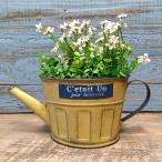  садоводство смешанные товары жестяная пластина pot цветочный горшок горшок горшок покрытие посадочная машина жестяная пластина ведро античный модный seti Anne Joe roYZ-UN2304-80