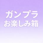 ガンプラお楽しみ箱 3