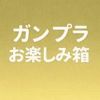 ガンプラお楽しみ箱 4