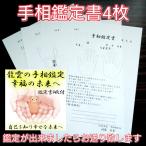 【龍雲の手相鑑定 幸福の未来へ 鑑定書付き 気になること3点まで】手相鑑定占い 占い 男性 女性 七大線 8つの丘 運勢 運気 現状 手相