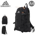 グレゴリー リュックサック 22L オールデイ PFM V2 メンズ レディース GREGORY バックパック
