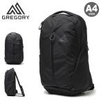 ショッピンググレゴリー グレゴリー リュック A4 メンズ レディース ルーヌ20 GREGORY バックパック リュックサック デイパック アウトドア 旅行 通気性