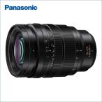 パナソニックLEICADGVARI...