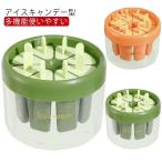 子供 手作りアイス 引っ越し祝い DIY アイスキャンディー アイスキャンディーメーカー メーカー アイスキャンデー型 アイスクリーム 製氷皿 送料