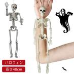 safaristoreハロウィン どくろ 飾り がいこつ ガイコツ ドクロ 髑髏 骸骨 スカル 装飾用 スケルトン 長さ40cm 玄関 吊り 下げ パーティー ガイコツ