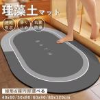 珪藻土バスマット ソフト 速乾 珪藻土マット 風呂 浴室 洗える 吸水 速乾 滑り止め かわいい 大きいサイズ ノンアスベスト 柔らか 大判 おしゃれ バスマット