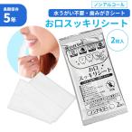 口腔ケア お口スッキリシート 2枚入 単品 歯みがき 長期5年保存 ウェットシート アルコールフリー 低刺激 日本製 コンパクト 携帯 メール便OK20個まで