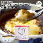 ショッピングカレー 有田焼カレー サンリオキャラクターズ  28種類のスパイスを使用 佐賀県産さがびより使用 ハローキティ キキララ 有田テラス　全国有名駅弁 ギフト