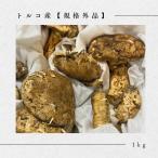  свежий сосна .[ есть перевод ]1kg Турция производство 2025 сырой сосна .