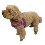 Hurttaライフガード・クラシッ...