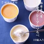 ショッピングお中元 アイス 銀座千疋屋 銀座プレミアムソルベ 10個入り (冷凍配送) お中元 御中元 母の日 父の日 お歳暮 お取り寄せ バレンタインデー ホワイトデー 入学 卒業 お祝い