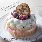 ショッピングチーズケーキ Berryのアイスチーズケーキ【5号】