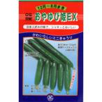 キュウリの種 ミニキュウリ　おやゆび姫EX 小袋（10粒）