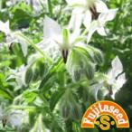  трава. вид белый bo Rige маленький пакет ( овощи. вид )