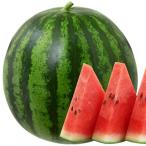 スイカの種 ミラクルスイート 8粒 ( 野菜の種 )