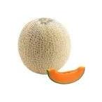 メロンの種 早春のマ